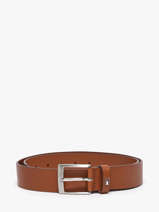 Riem Tommy hilfiger Bruin adan new AM13014